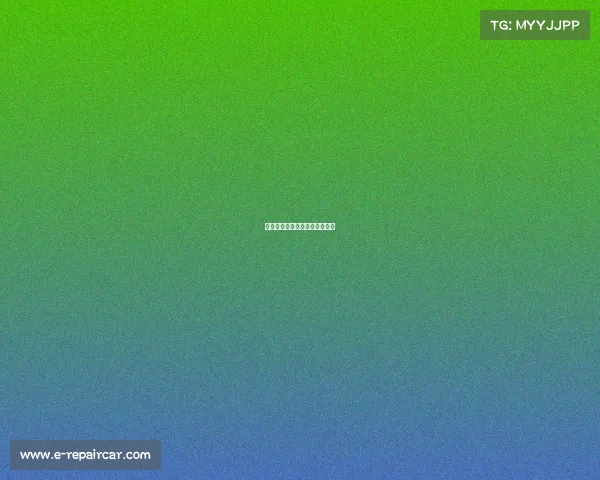 电子竞技运动与管理属于什么类